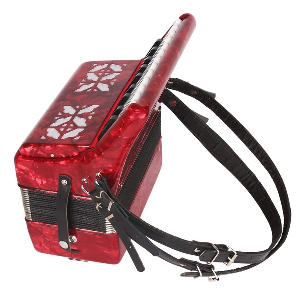 Amazon | 22鍵8ベースピアノアコーディオン、ステージ