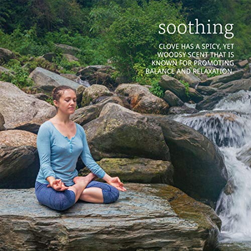 Now Essential Oils, Clove Oil, Balancing Aromatherapy Scent, Steam Distilled, 100% Pure, Vegan, Child Resistant Cap, 1-Ounce #TOP3