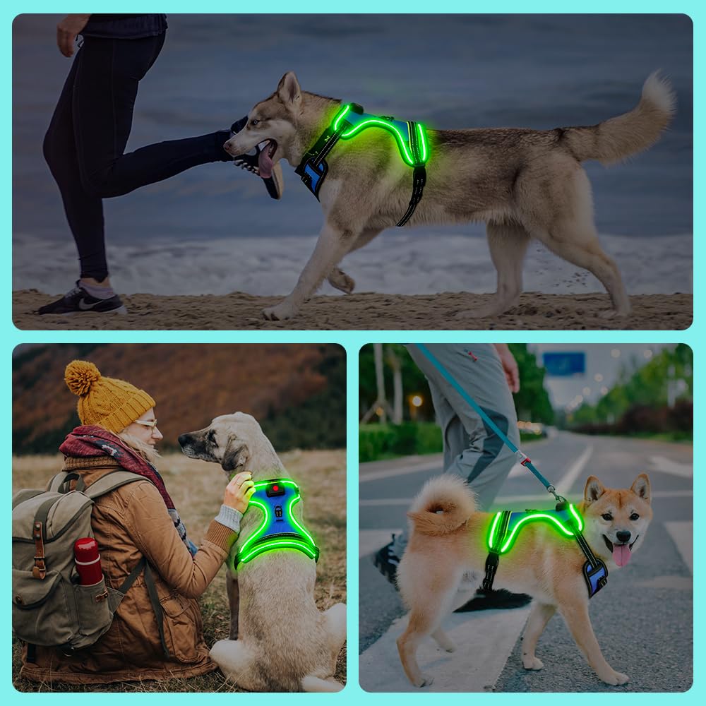 Arnés luminoso para perros recargable LED chaleco reflectante para perros arnés antitracción para perros que caminan por la noche (luz azul + verde, XL)