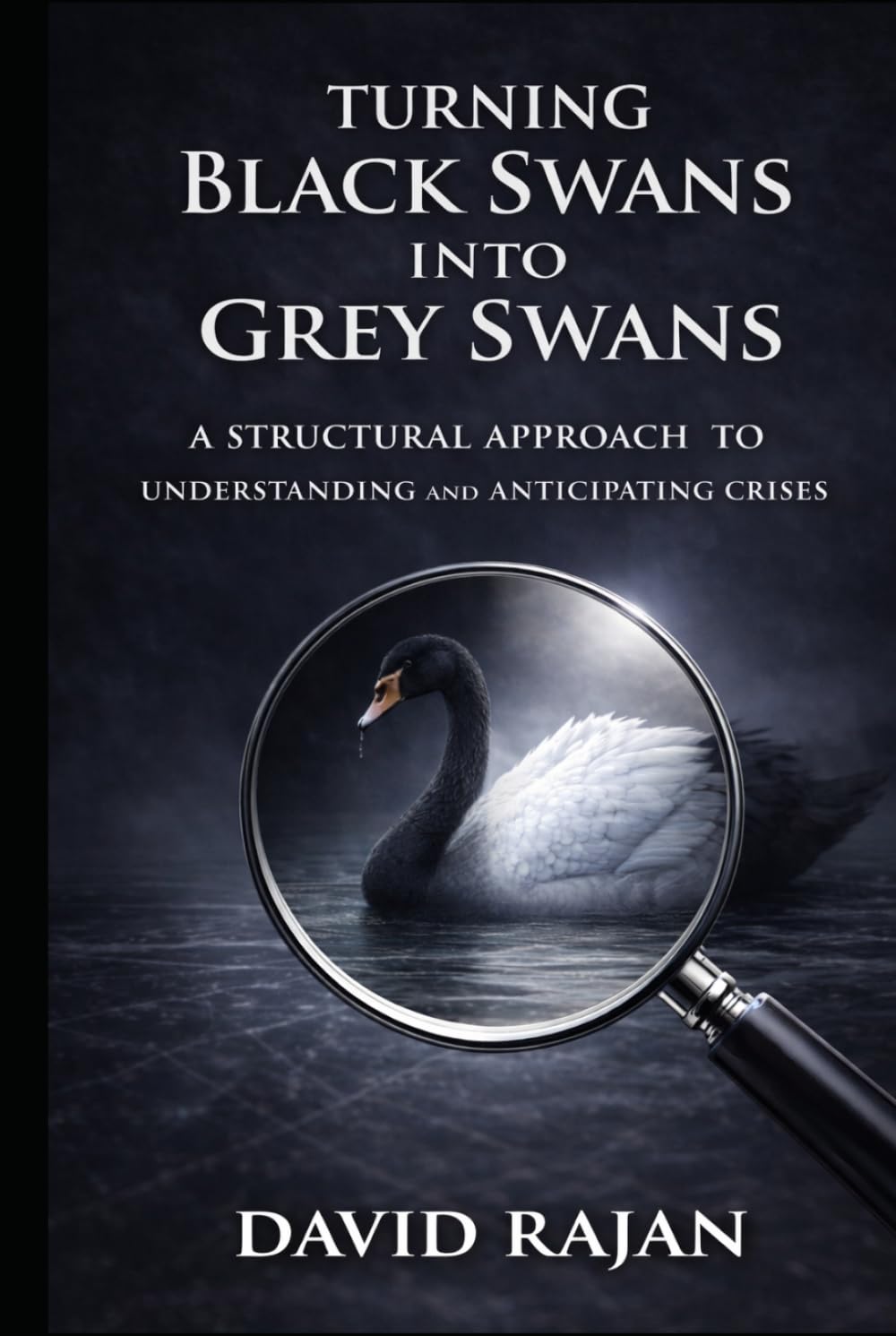 Turning Black Swans Into Grey Swans: A Structural Approach to Understanding and Anticipating Crises (Sustainxiety Institute Series on Economic Theory of Humanity)