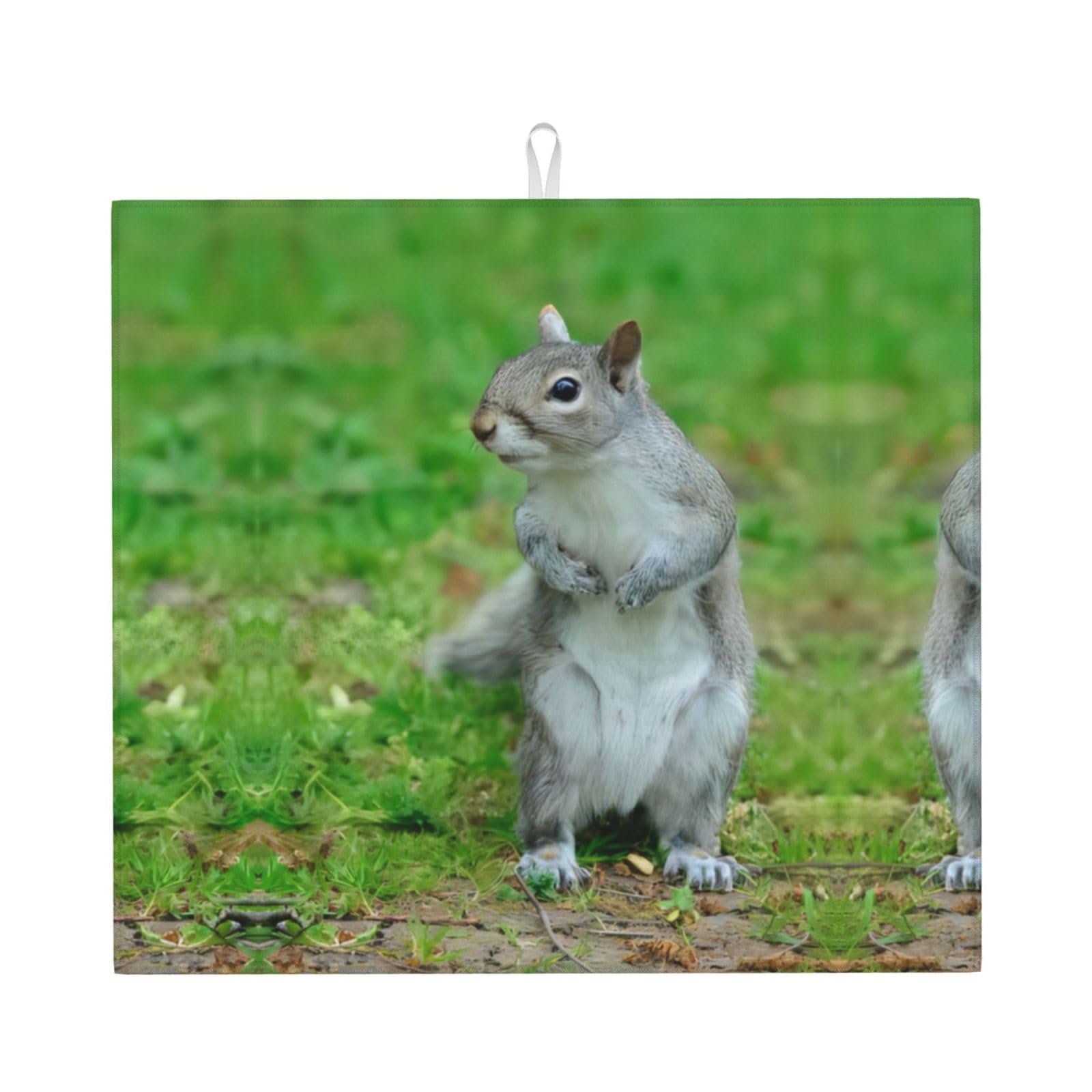 WHJSSF Squirrel Prints Kitchen Drying Mat - Super Absorbent Dish Drying Throw with Colorful Prints, Quick-Dry Countertop Layer for Dishes, Glasses & Small Appliances