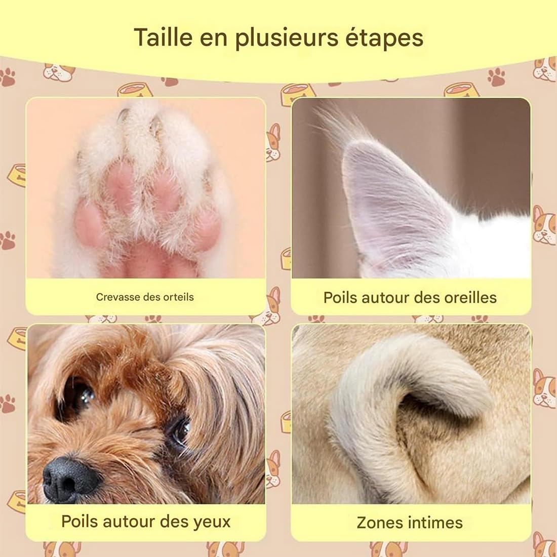 Tondeuse de Toilettage GrosMatou — Douceur & Sécurité, Tondeuse Chat Chien Silencieuse, LED Intégrée, Ne Blessera Pas Votre Chat, Rechargeable USB, Étanche (1p)