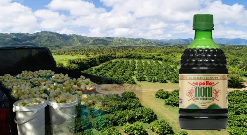 Miniatura 7 de Juice Organic 100 Pure Original y Auténtico Hecho de Extracto de Fruta Noni, bebida de bienestar diario totalmente natural, 30.5 onzas líquidas