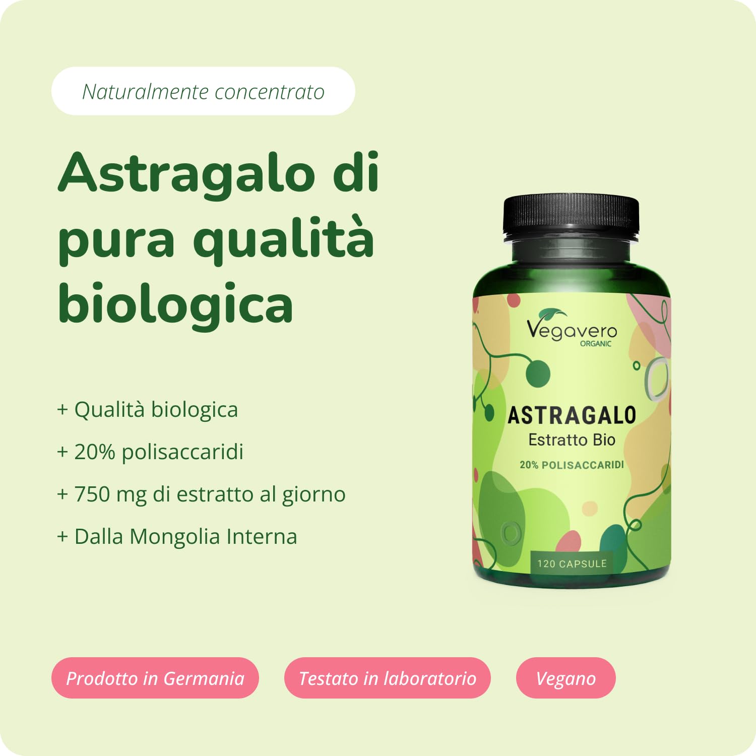 ASTRAGALO BIO Vegavero® | 5600 mg | Titolato in Polisaccaridi | ADATTOGENO per DIFESE IMMUNITARIE | 120 capsule | Vegan
