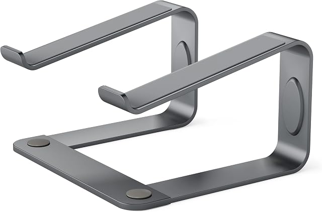 LORYERGO Laptop Stand, Ergonomic Laptop Riser Laptop Stand for Desk, Notebook Stand Compatible with Most 10-17 Laptops, Space Grey