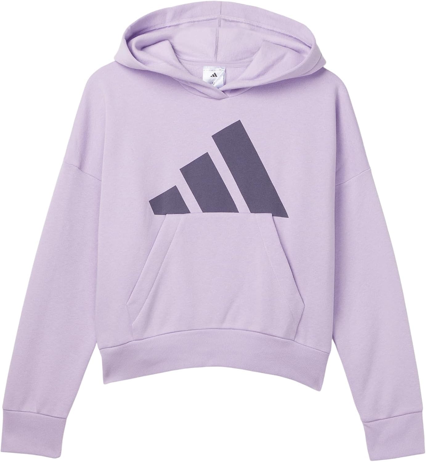 adidas Girls' Essential Big Logo Fleece Hooded Pullover (Big Kid)