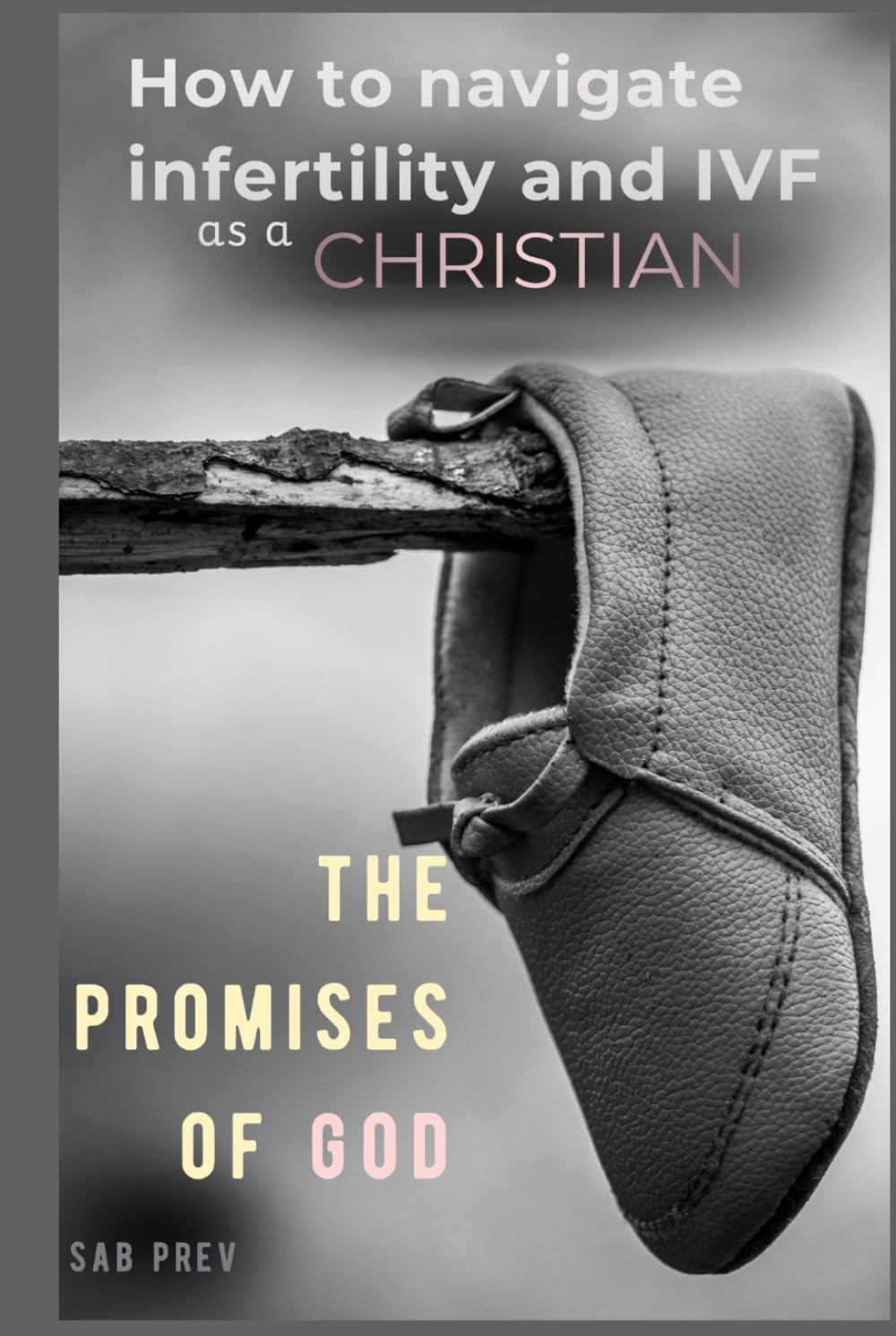 How to Navigate Infertility and IVF as a Christian: The Promises of God