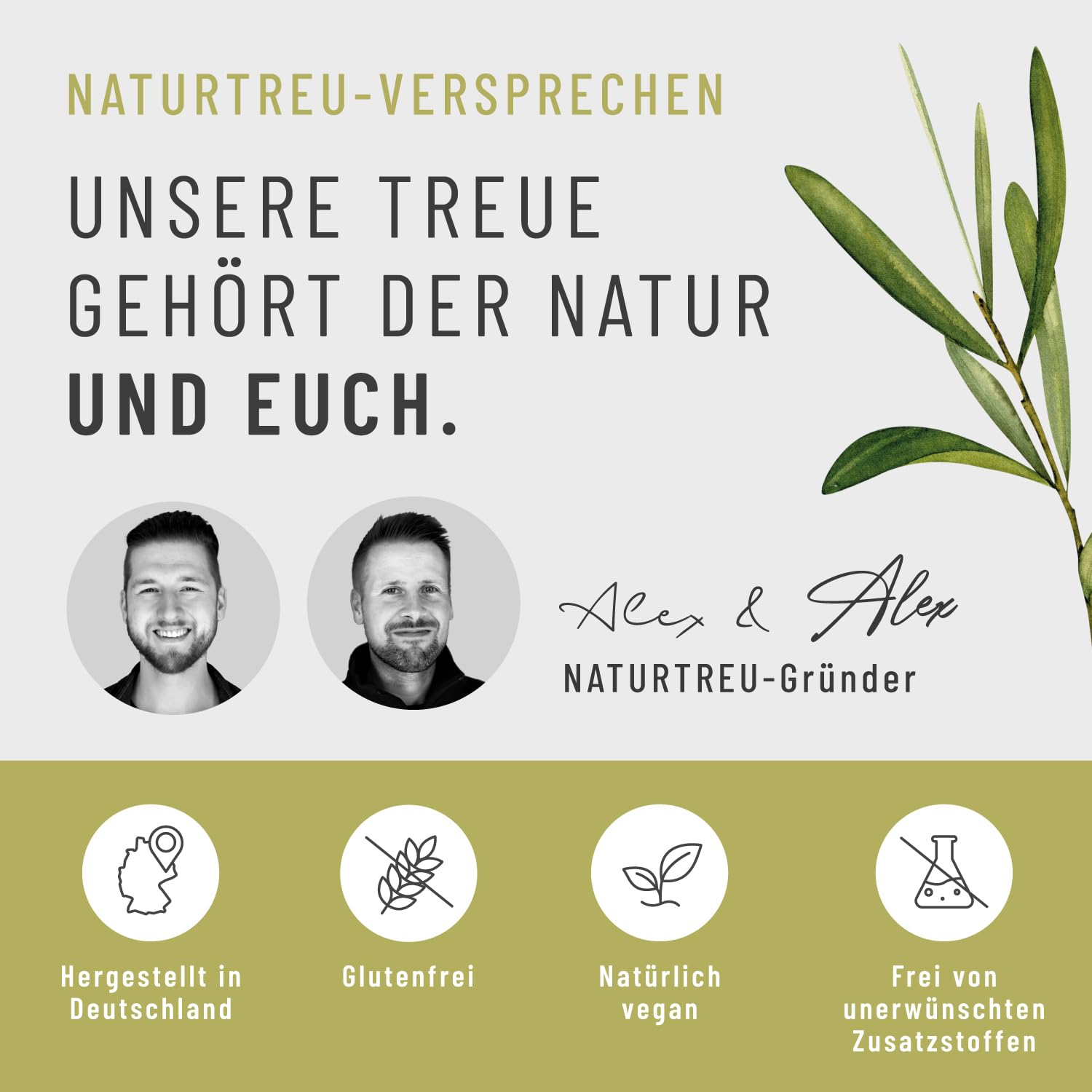 NATURTREU® Spermidin Kapseln hochdosiert mit hochwertigen Spermidin, L-Arginin, Bifidobakterien & Vitamin B6 - vegan - 120 magensaftresistente Kapseln - in Deutschland produziert & laborgeprüft