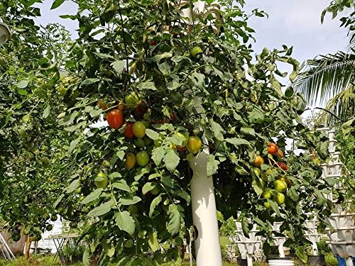 Miniatura 4 de Jardineros Verticales (Azul)