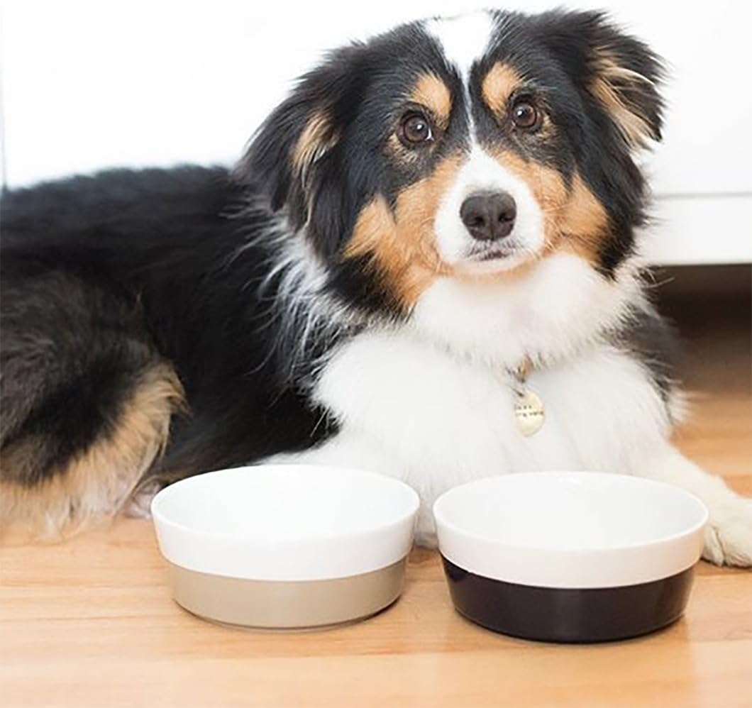 Waggo Dipper Ceramic Dog Bowl for Small and Large Breeds - Heavyweight and Durable Pet Food and Water Dish Crock, Dishwasher Safe, Modern (Mint, Small) image 5
