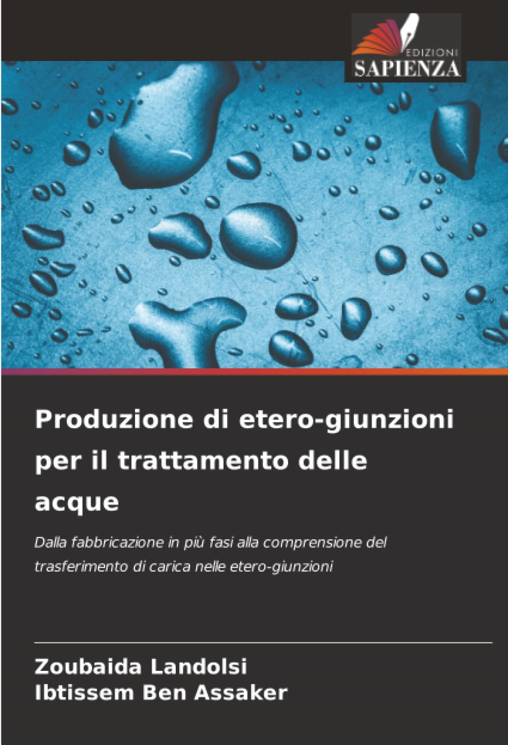 Produzione di etero-giunzioni per il trattamento delle acque: Dalla fabbricazione in più fasi alla comprensione del trasferimento di carica nelle etero-giunzioni