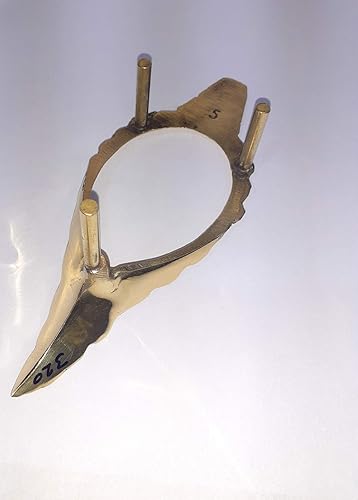 Miniatura 3 de Vimal Nautical Latón Pittal Pooja Shankh Stand (dorado) Tamaño grande Tamaño grande Tamaño aproximado Material Latón Puro Color pétalo Oro para Pooja