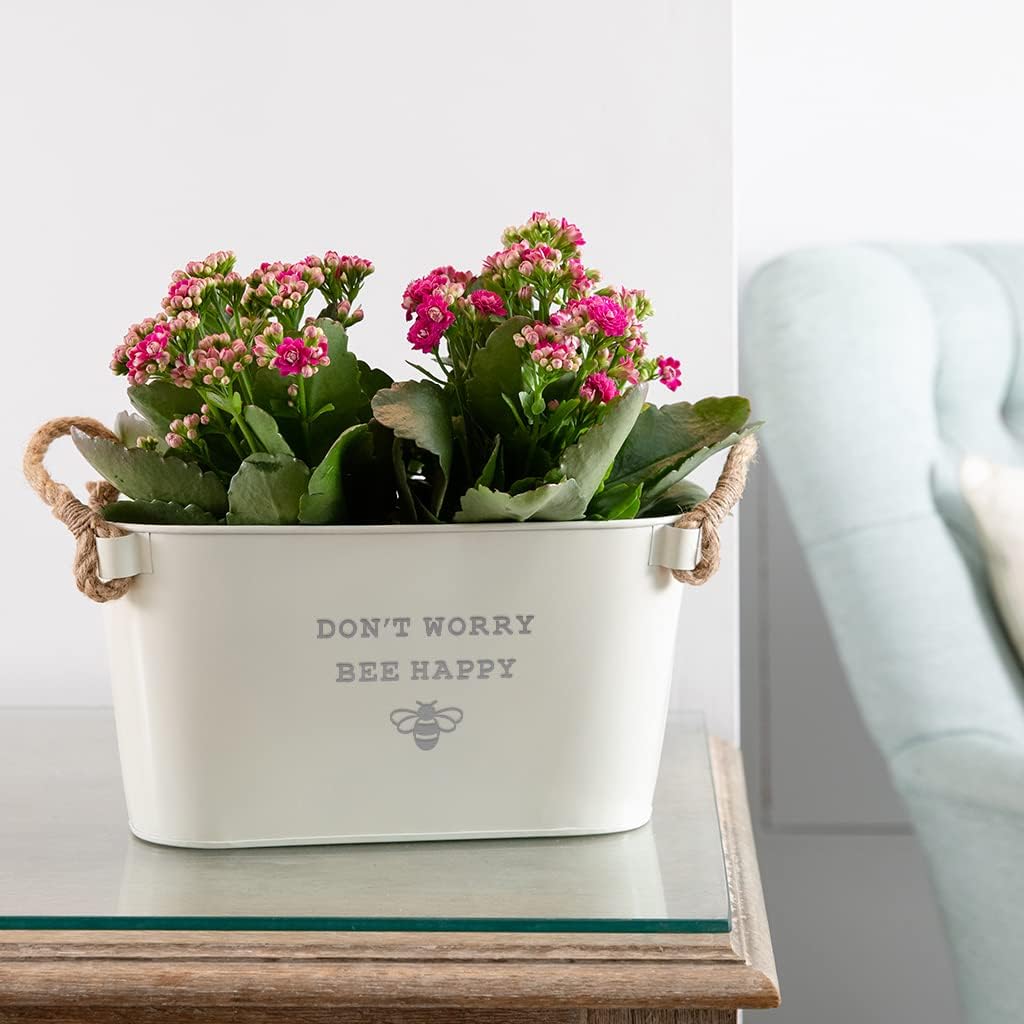 Dust and Things Engraved Metal Planter 'Don't Worry Bee Happy', Unique Motivational Gifts for Her Women - Image 3