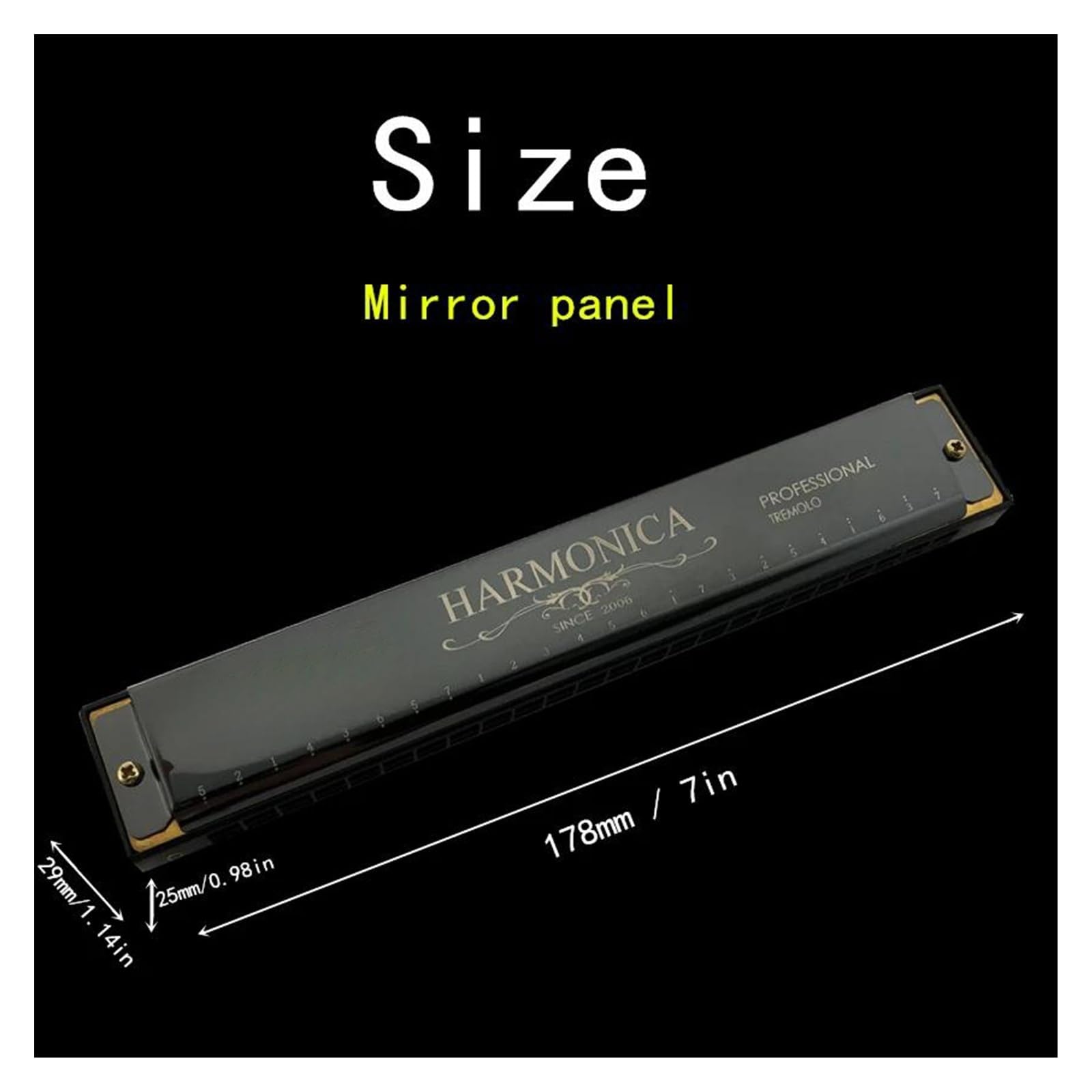 Armonica Tremolo Armonica Blues Key C 24 fori Bocca per arpa con custodia Strumento musicale professionale