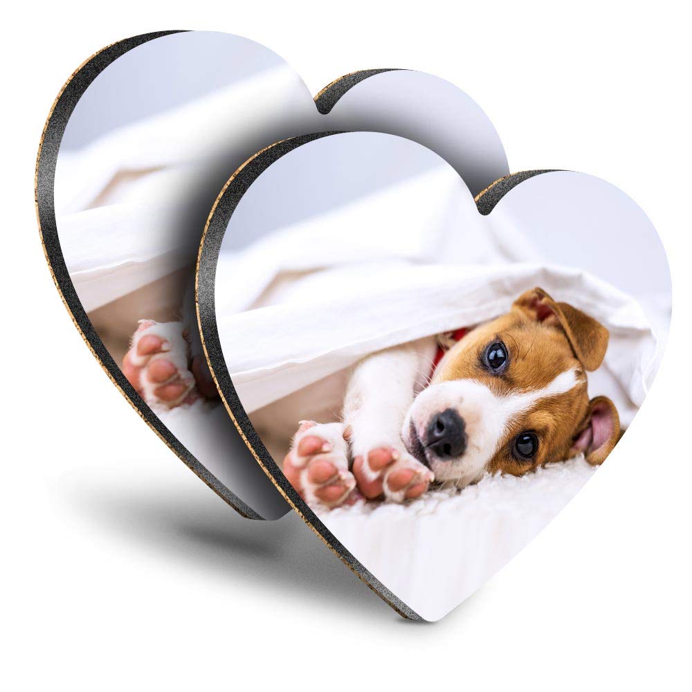 Destination Vinyl Ltd Multicolor Great Coasters (Set Of 2) Heart - Jack Russell Terrier Dog Puppy Animals Drink Glossy Coasters/Tabletop Protection For Any Table Type #8286