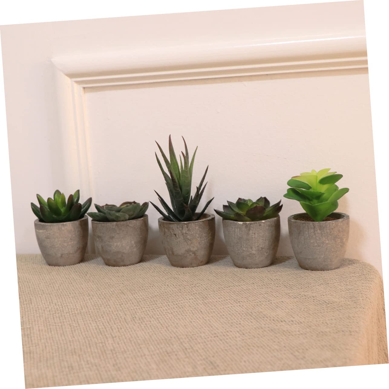 Künstliche Sukkulentenpflanze 5 Stück Packung Retro Bonsai Deko im Topf