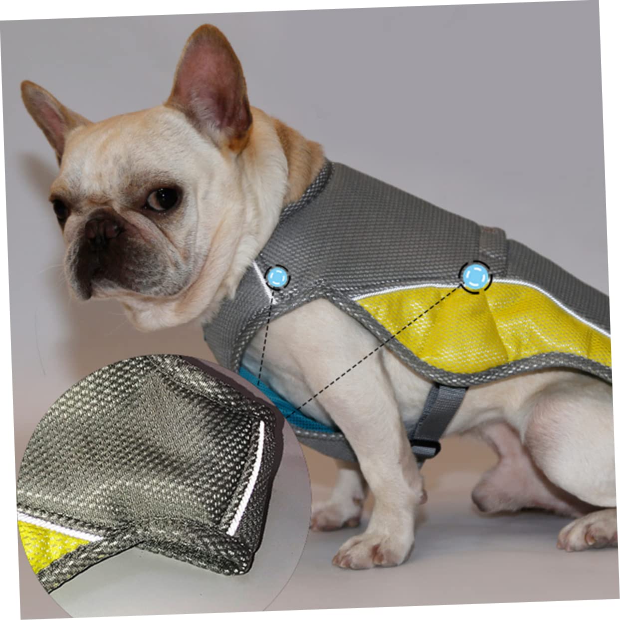 Kisangel 2pièces Gilet Rafraîchissant pour Chiens s Veste De Refroidissement Respirante Et Réfléchissante pour Animaux De Compagnie Été Couleurs Assorties