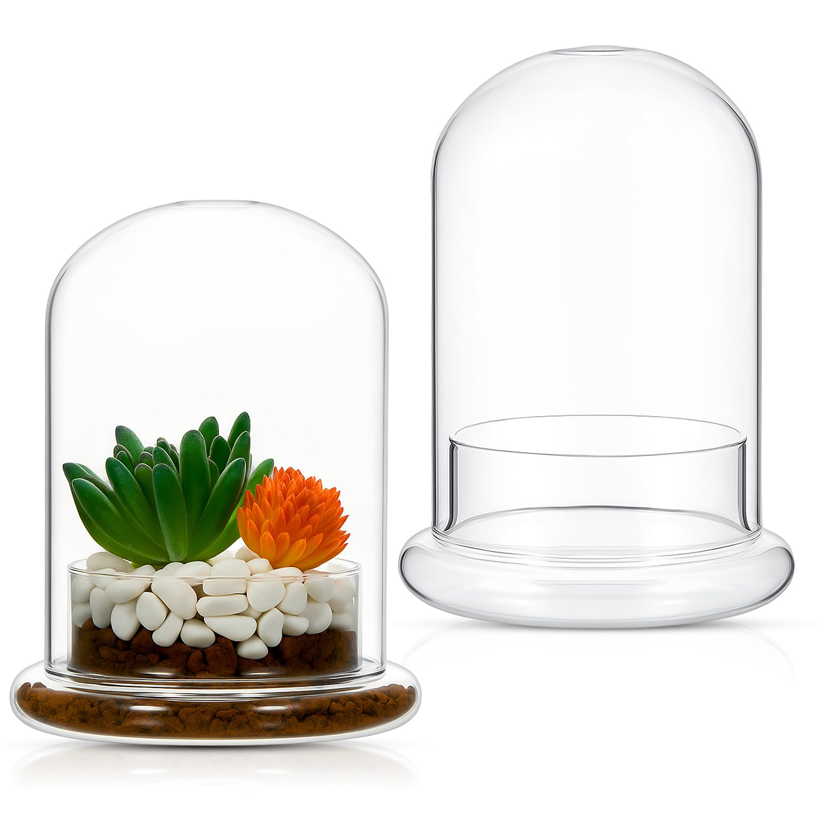 2 Pcs 4.7 x 6.3 Inch Clear Glass Dome Terrarium with Air Hole &amp; Base