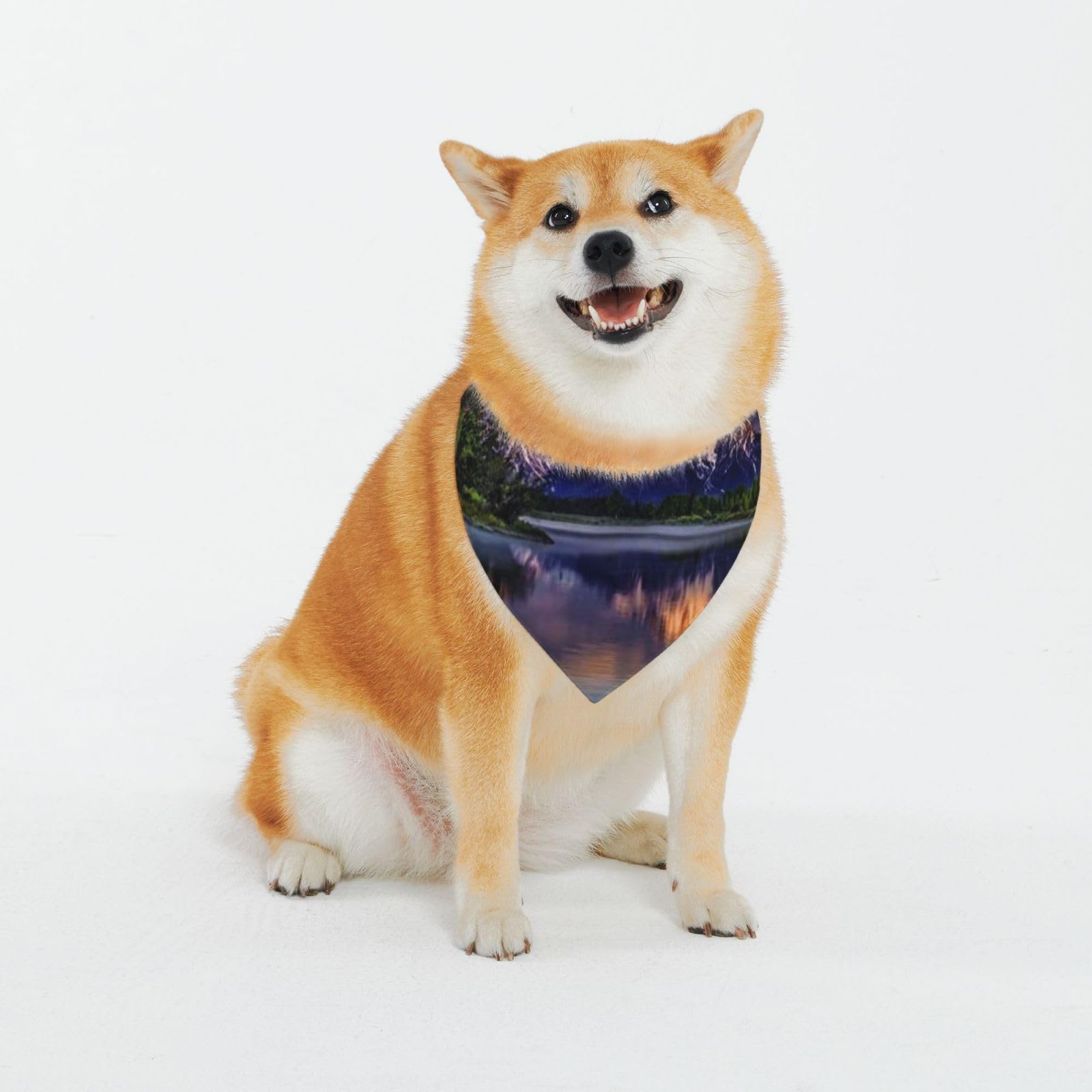 Grand Teton National Park Dog Scarf Puppy Triangle Bibs Fashion Pet Bandanas for Poodle Corgi Shiba Inu
