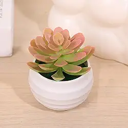 1 pacote com mini plantas suculentas artificiais de aloe - plantas falsas em vasos de toque real com vasos de cerâmica, decoração de mesa pequena para casa, escritório, mesa e prateleira (rosa)
