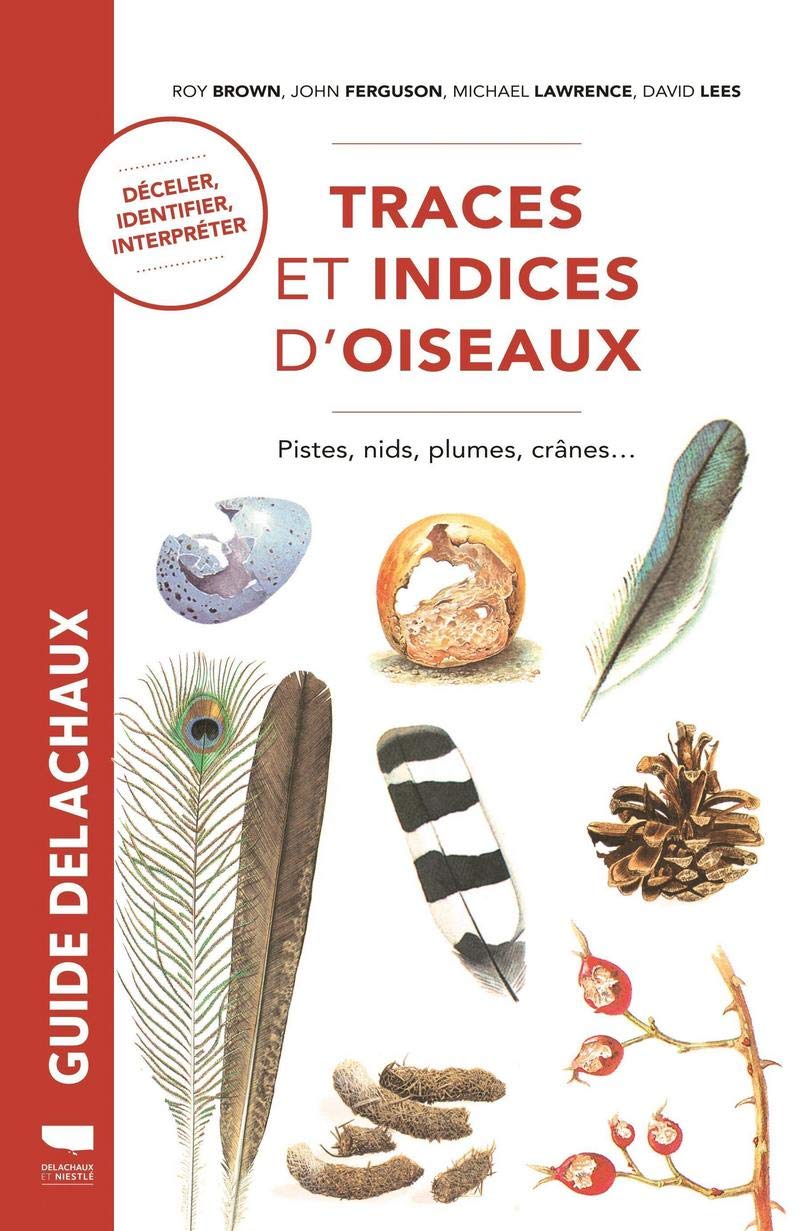 Traces et indices d'oiseaux: Pistes, nids, plumes, crânes...
