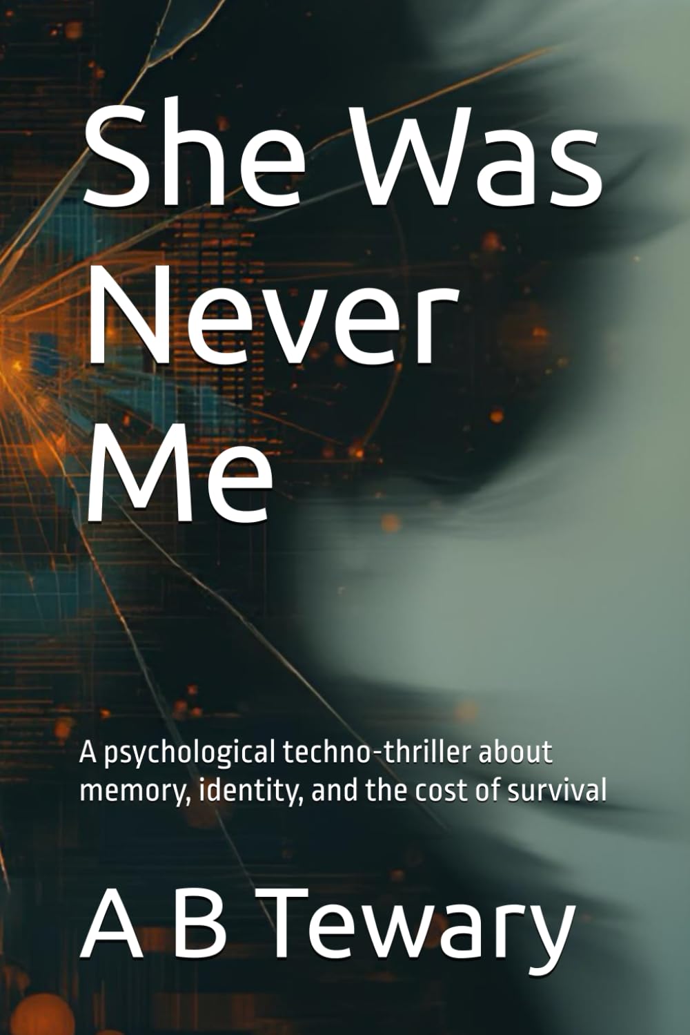 She Was Never Me: A psychological techno-thriller about memory, identity, and the cost of survival: 2 (The Returning Detective)