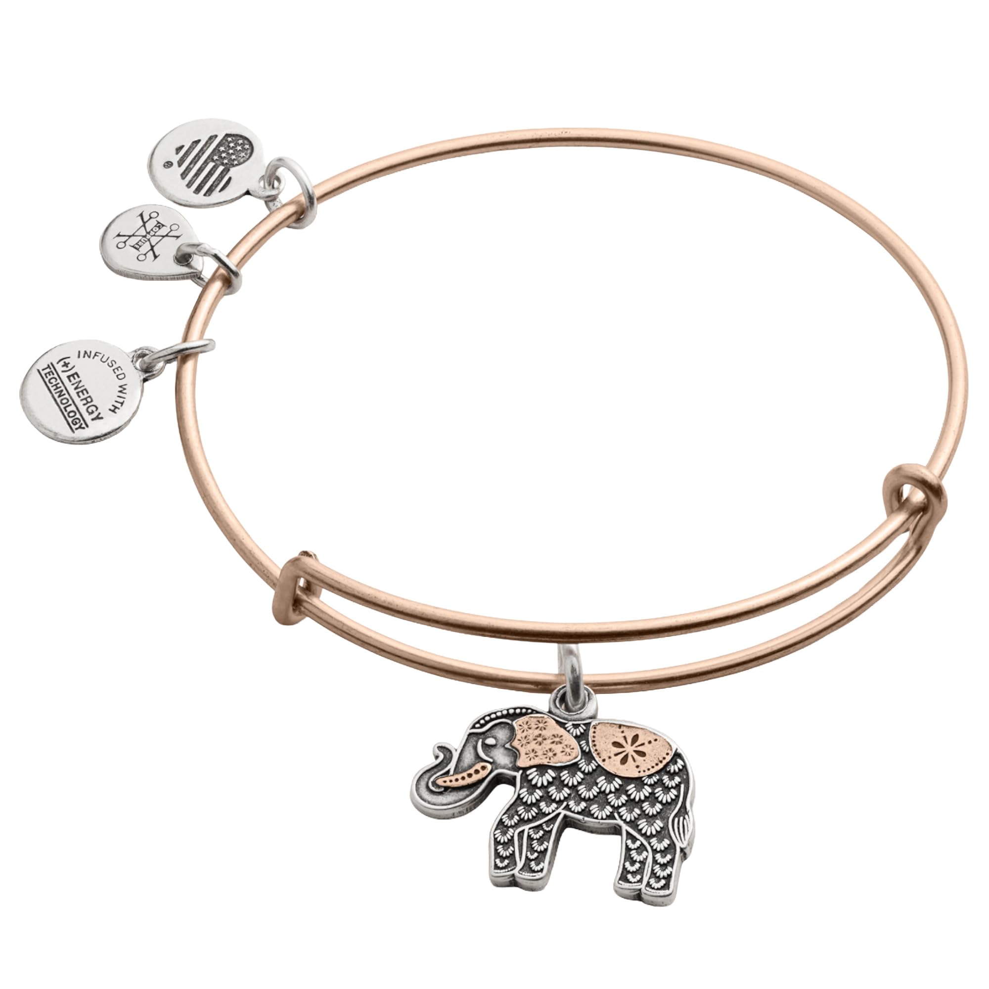 Alex and Ani Path of Symbols Expandable Bangle for Women
