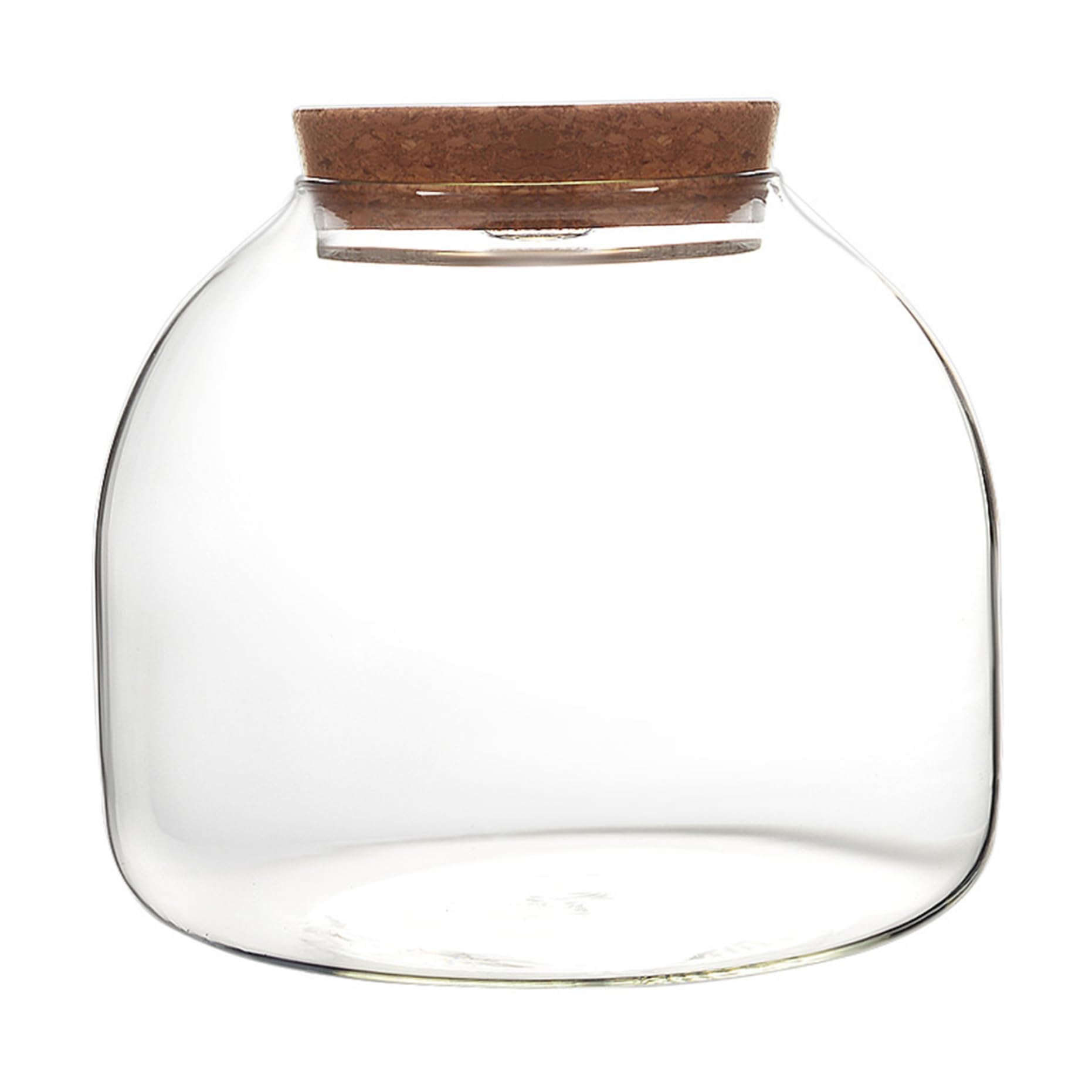 Terrarium en verre pour plantes 1600 ml et design en liège