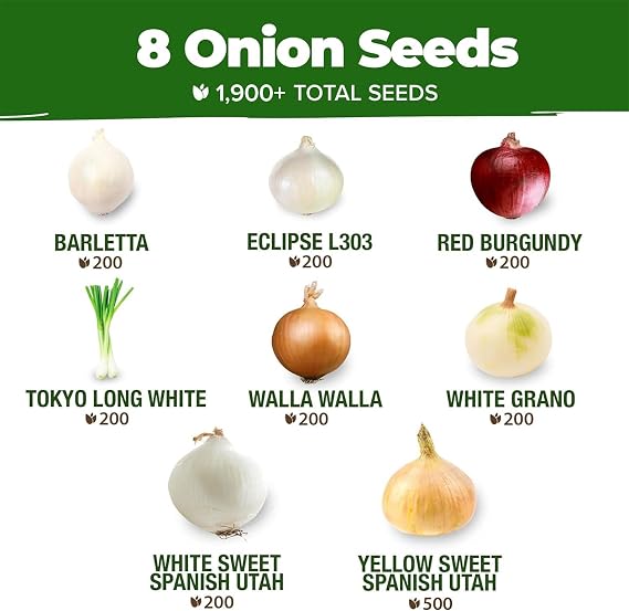 HOME GROWN 8 Onion Variety Mix 1600+ Vegetable Seeds Allium cepa
