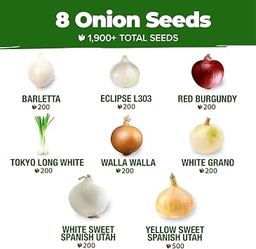 HOME GROWN 8 Onion Variety Mix 1600+ Vegetable Seeds Allium cepa