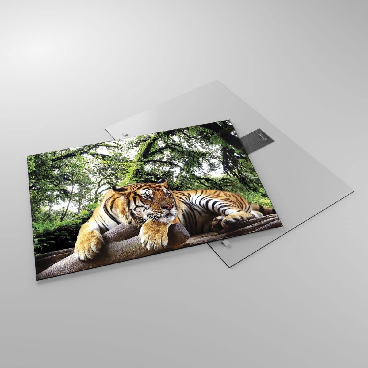 Tableau Sur Verre Tigre - Dimensions 120x60 Cm, Style Moderne - Neuf, Marque Tulup
