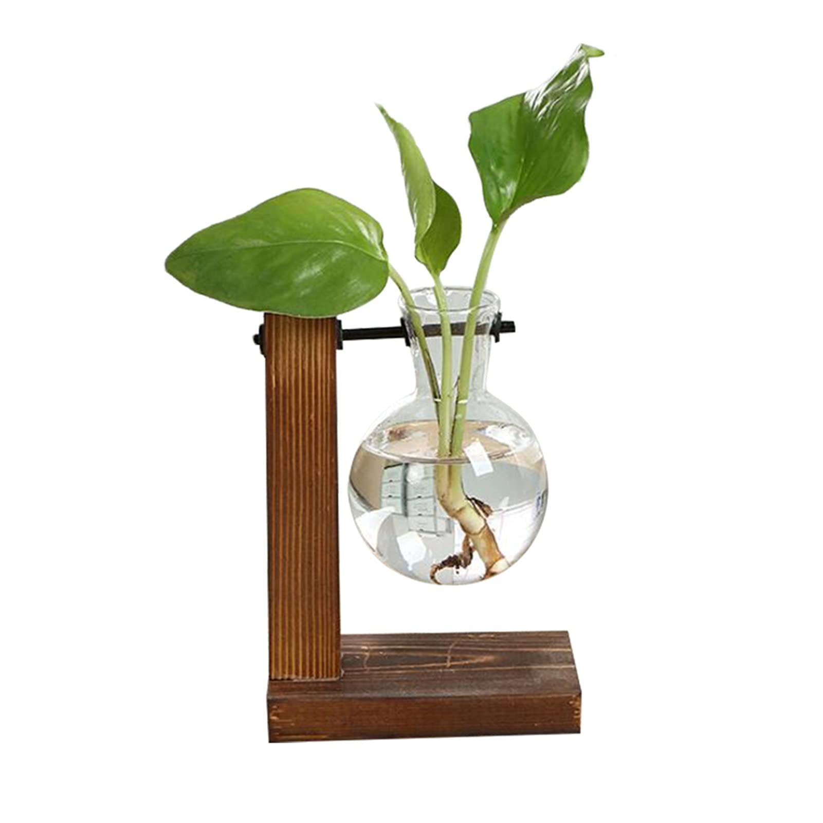 Doniczki na kwiaty rośliny hydroponiczne wazony doniczka przezroczysta waza drewniana rama szklana przełącznik rośliny dom bonsai dekoracja doniczka na rośliny (kolor: typ B)