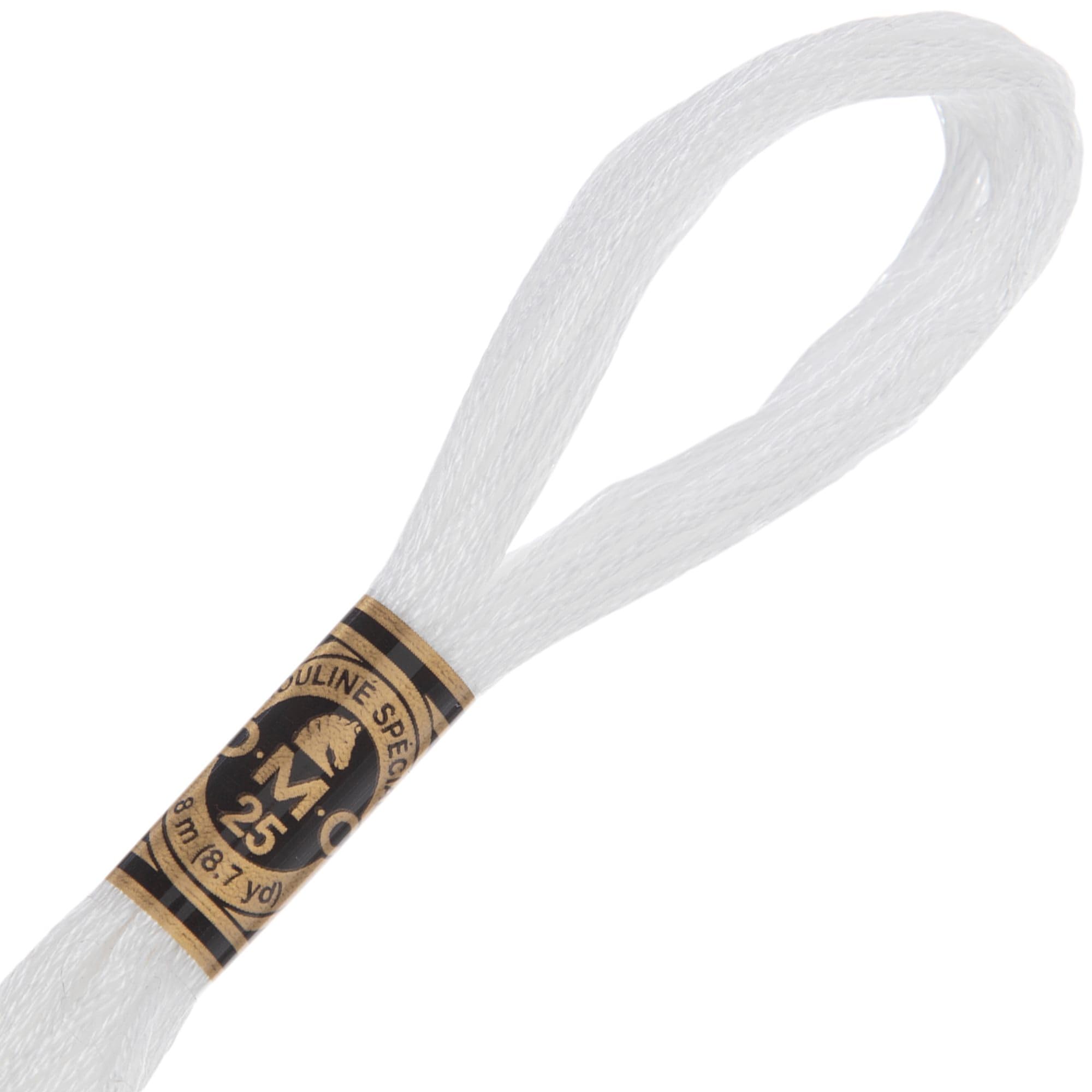 Amazon.com: Hobby Lobby DMC Cotton Embroidery Floss (Set of 12) (1