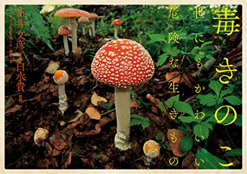 毒きのこ 世にもかわいい危険な生きもの 新井文彦 白水貴 ネイチャー サイエンス 写真 Kindleストア Amazon 毒きのこ 世にもかわいい危険な生きもの 新井文彦 白水貴 ネイチャー サイエンス 写真 Kindleストア Amazon