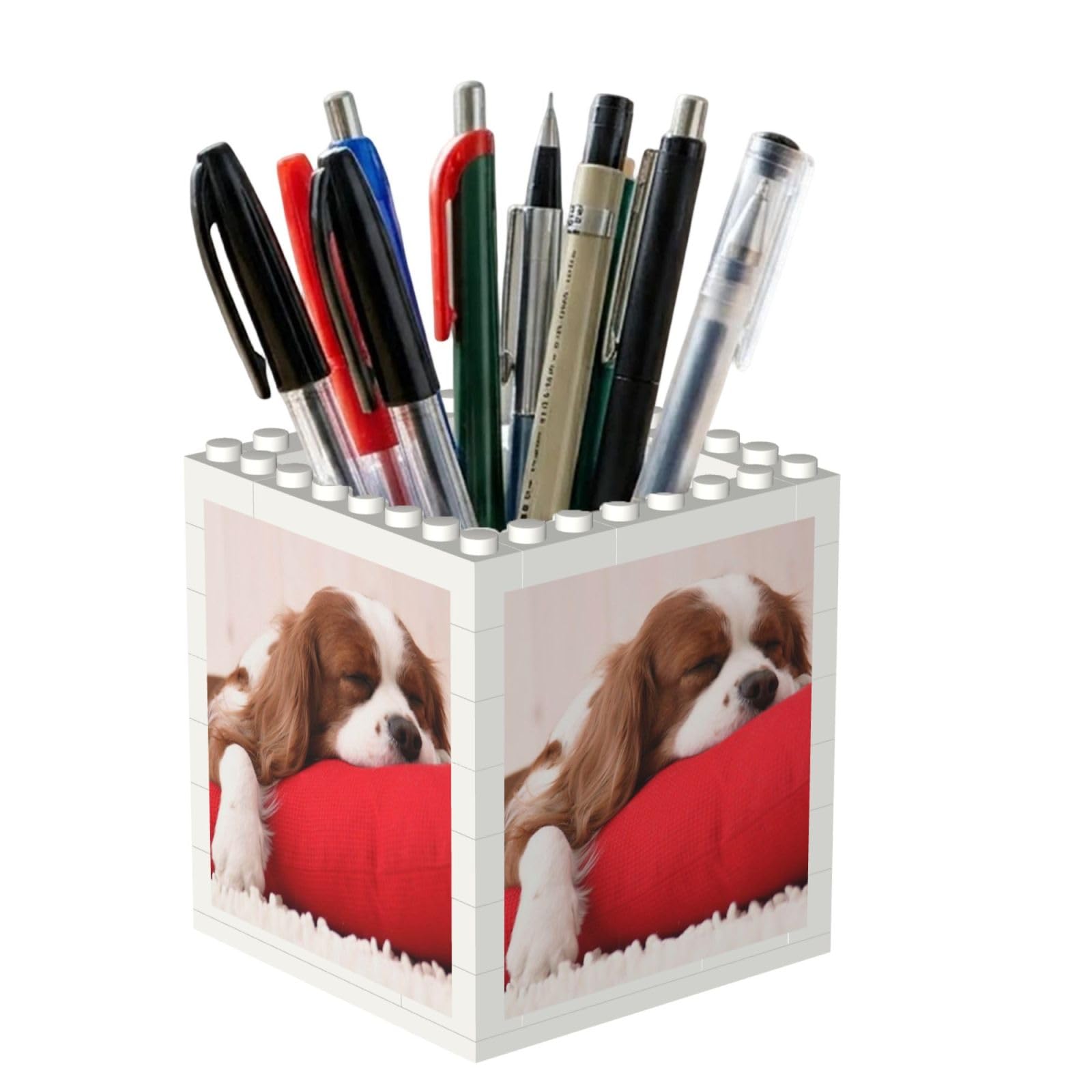 Poadnly Cavalier King Charles Spaniel Pattern, Pen Pot Pencil Holder for Office Home School, Compact Desk Organiser for Office Stationery