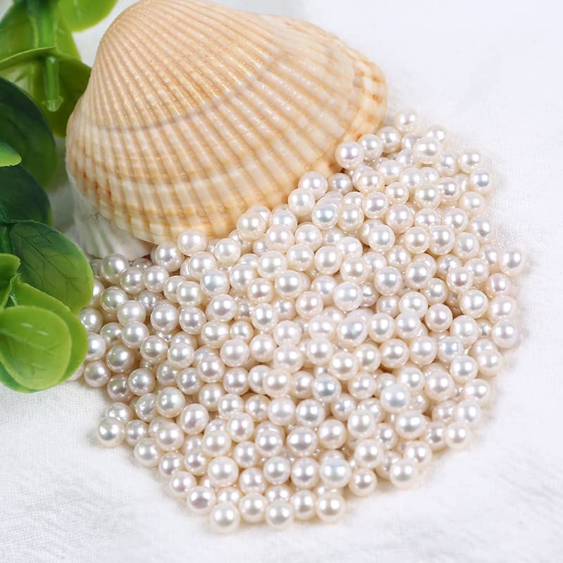 Tia Crafts Pearls Beads for Craft Jewellery Embroidery Making, Craft, Jewelry Making, Beading, Arts and Crafts 6 mm Size - 1000 Pieces (6mm, Off-White) (B09TKYTZ7P) Amazon Price History, Amazon Price Tracker