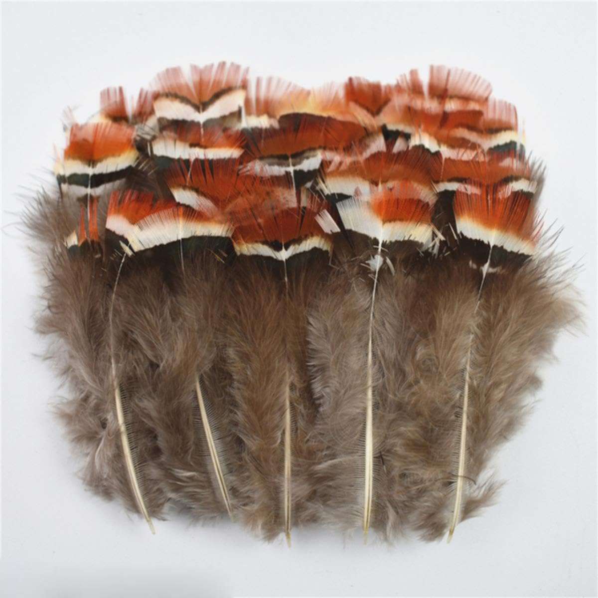 Natürliche Pfauenfasanenfedern, kleine Hühnergänsefedern, Materialien, Bastelzubehör, Dekoration, Größe 3–7 cm, 500 Stück