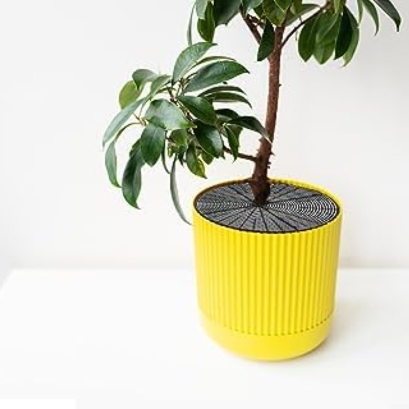 Paquete de 4 rejillas para macetas de 19/30 cm, protectores de suelo de animales, gatos, perros, de plástico para el hogar, jardín, marrón y negro (B)