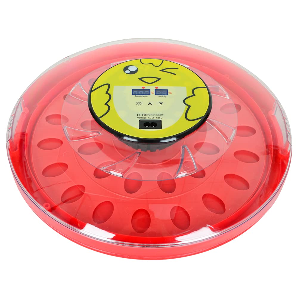 Buy Hatching Egg Incubator 30 Eggs Small Egg Hatcher Machine Digital