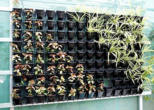 Bio Blooms Smart Garden Vertical Planter | Set of 8 Panels & 24 Pots with Hooks | Wall Mounted Bio Wall Garden Kit for Balcony, Gate & Home Décor (Black) 1