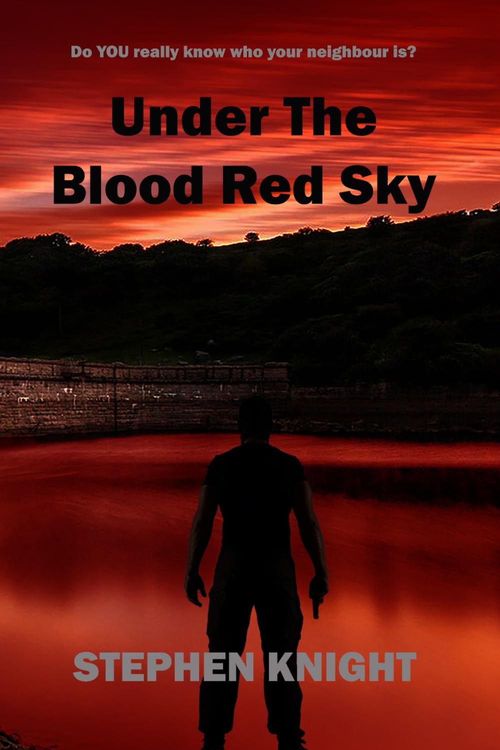 Under the Blood Red Sky: 2 (The Detective's Casebook)