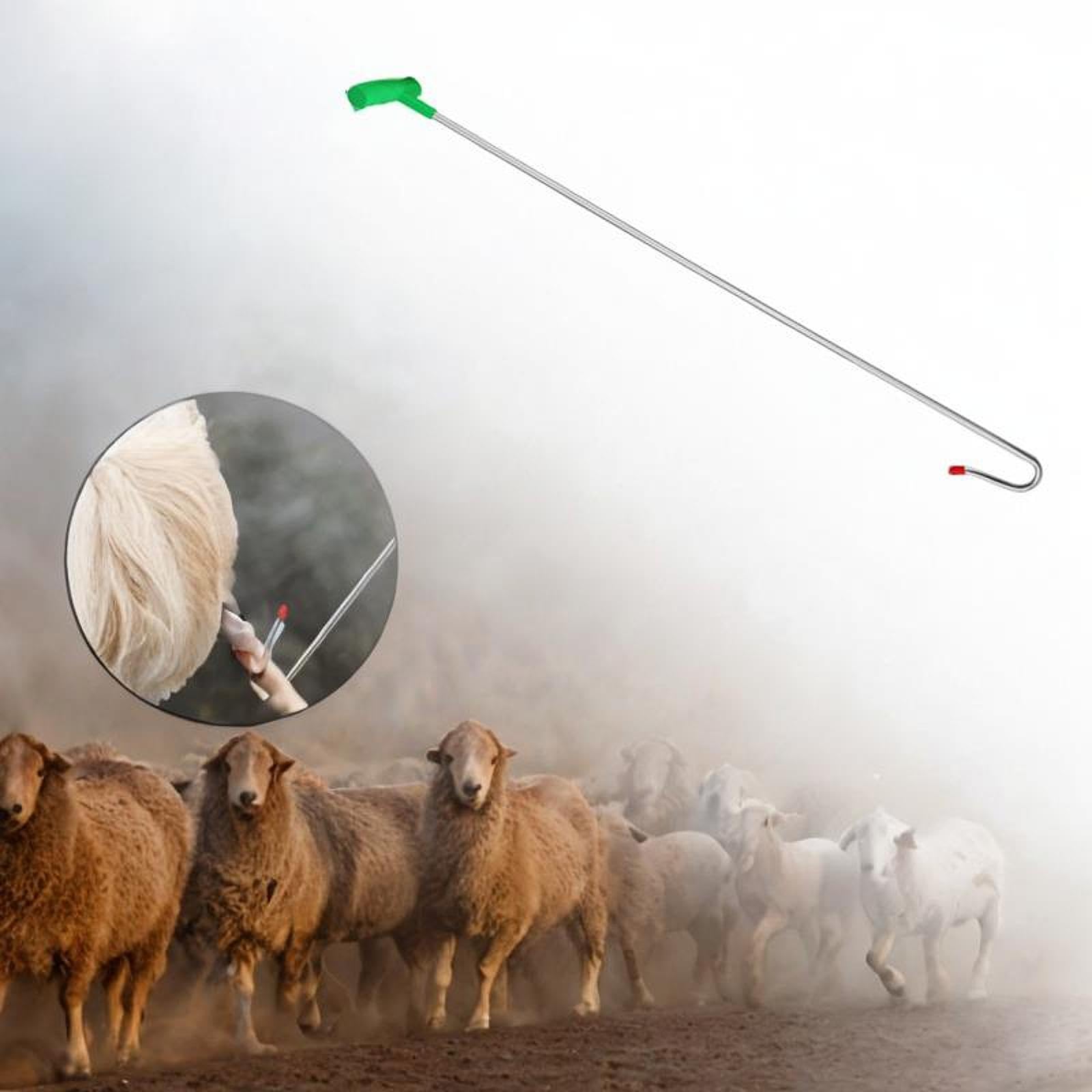 perfk Outil de receveur de mouton Stick Stick Pole mouton le dispositif de mouton pour le jardin, 90cm