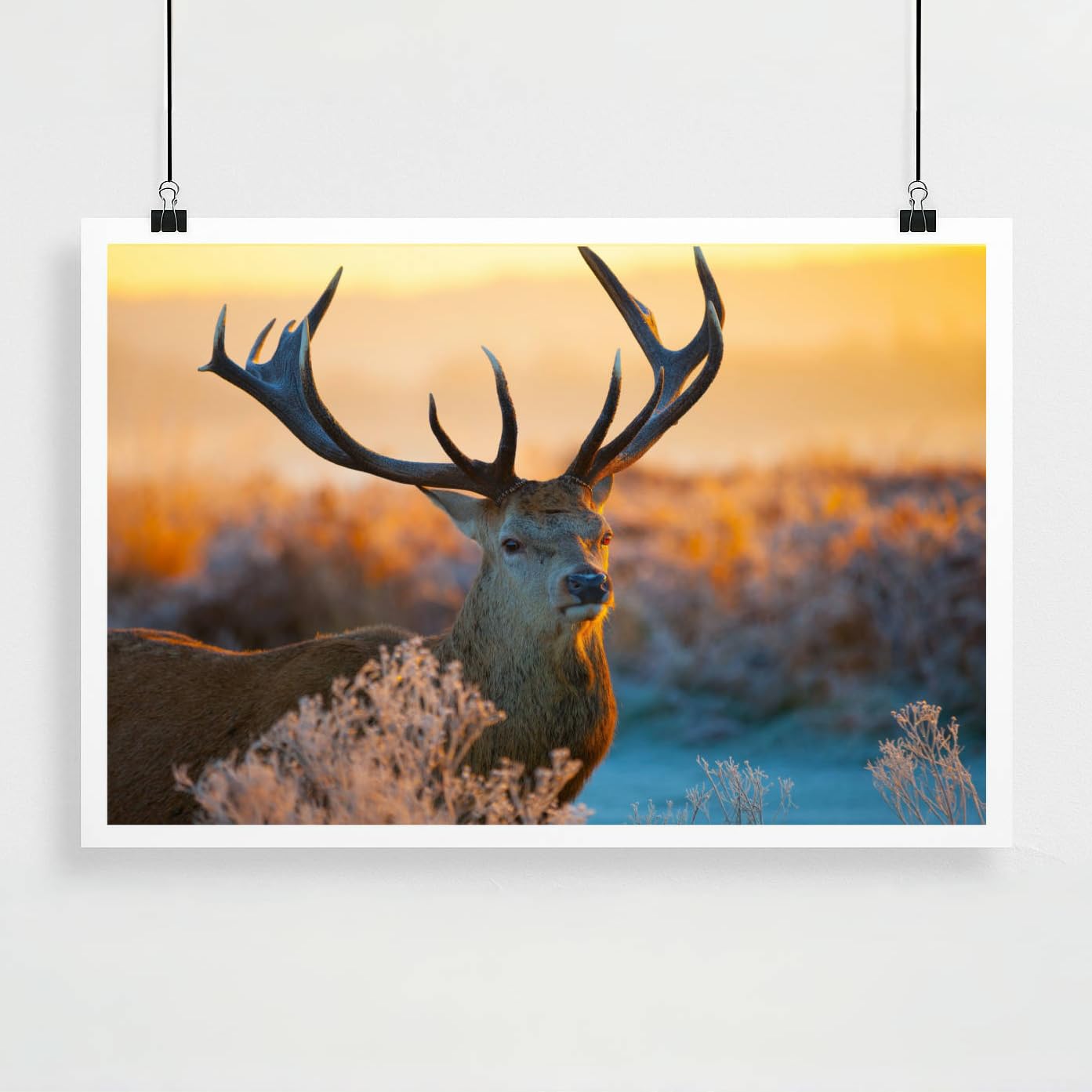 Personalized Custom Poster Prints: 12L x 18W Photo On Canva Transform Your Photos into Stunning Unframed Wall Art Digitally Printed (12L x 18W,