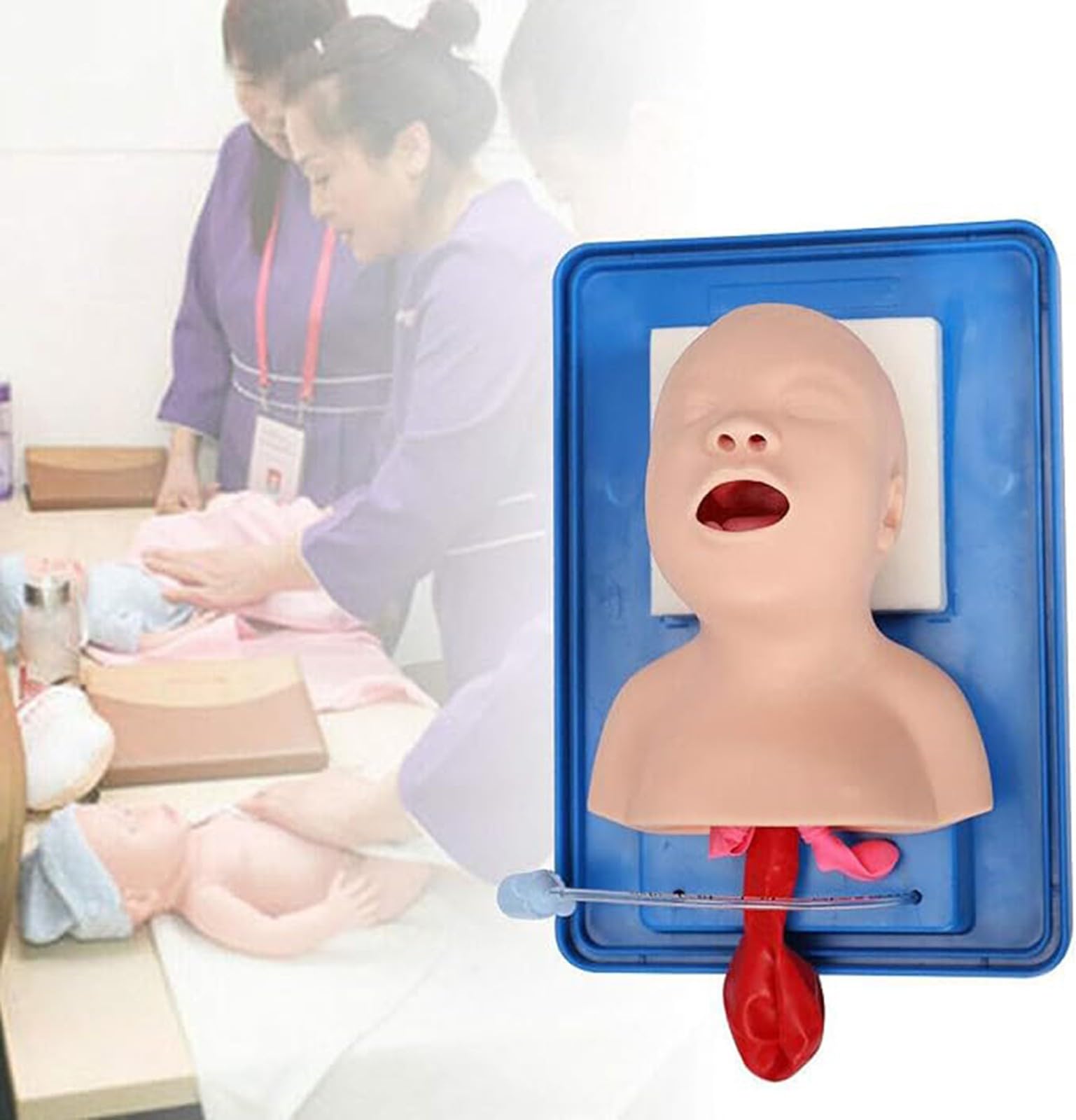 Mannequin d'intubation, simulateur de gestion des voies aériennes, intubation endotrachéale par PVC, pour l'enseignement en laboratoire, formation infirmière et médicale A