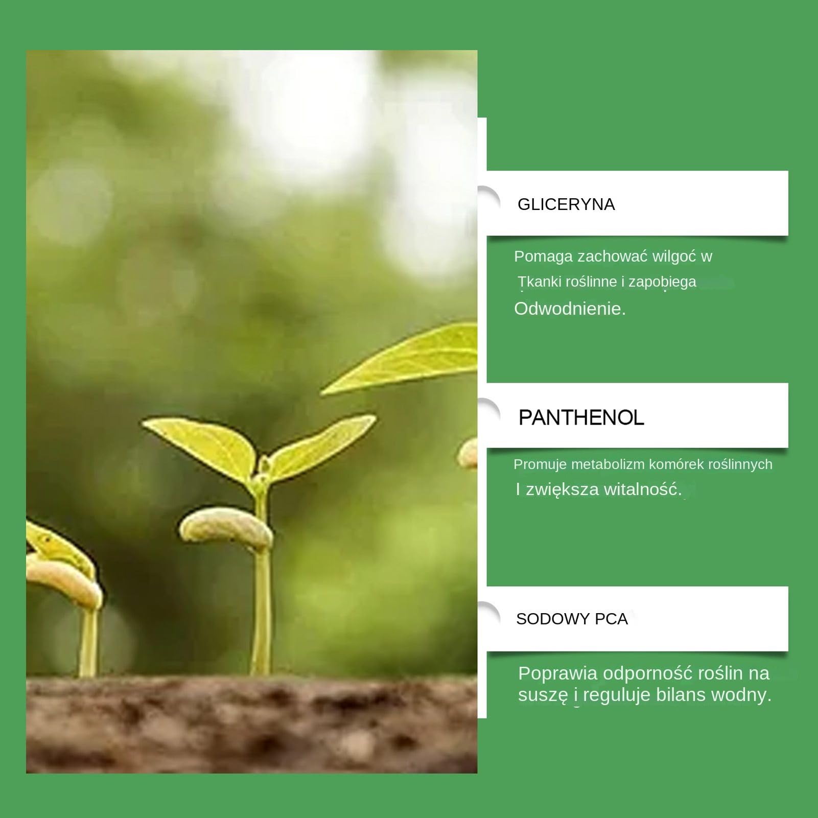 Plant Fertilizer, All Purpose Plant Food, 1.88x3.85 inch Safe Nutrient Solution, Efficient Growth Enhancer, Natural Floral Food for Garden, Lawn Care, Hydroponic Use