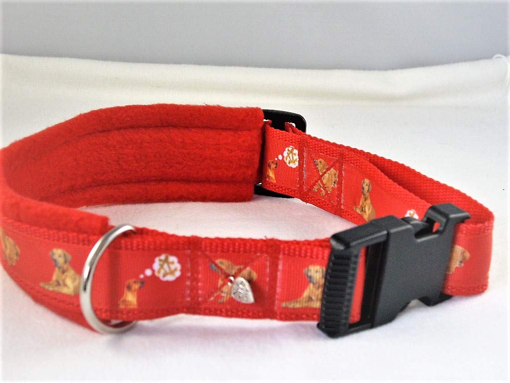 Halsband Rhodesian Ridgeback 50-55 cm Halsumfang : Amazon.de: Haustier