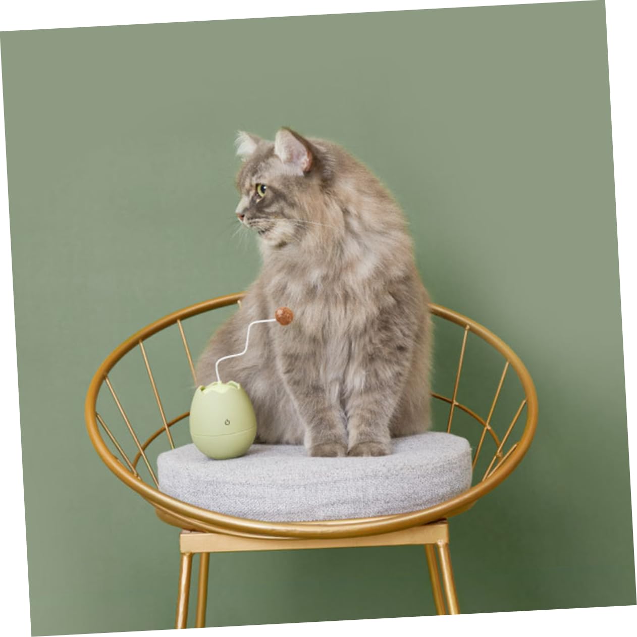 Abaodam Jouet Interactif pour Chat Design Coquille Œuf Électrique Rotatif Stimule Instinct De Chasse Jouet Créatif pour Chaton