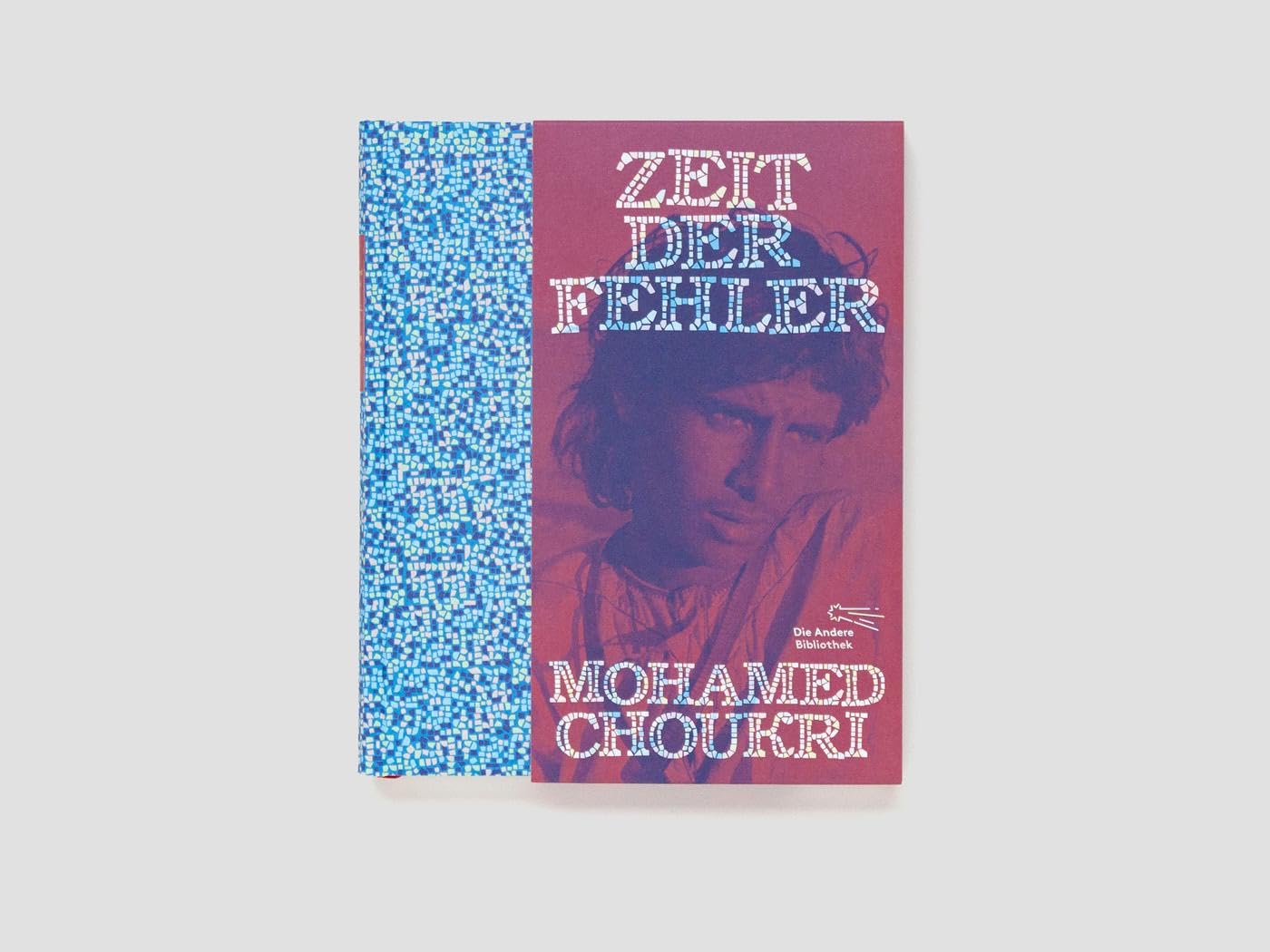 Zeit der Fehler: Autobiographischer Roman (Die Andere Bibliothek, Band 465)