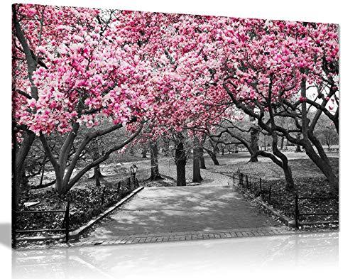 Panther Print, Canvas Wall Art, Pictures for Living Room and Bedroom, Black & White, Pink Blossoms Framed Prints for Walls, Print for Special Occasions (24x16 Inch)