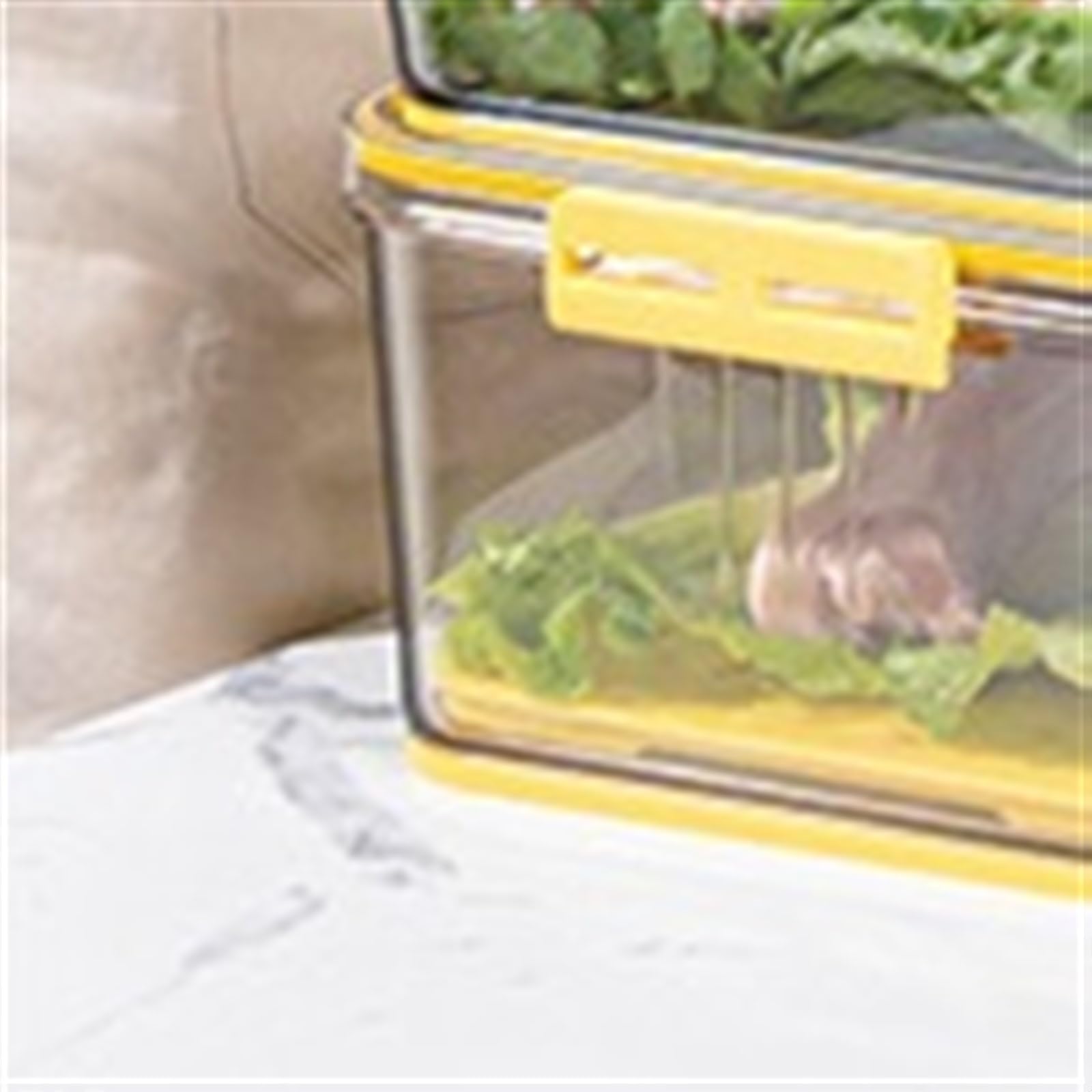 JINGYAN Contenitori per la conservazione degli ali Food Storage Container With Lid, Household Kitchen